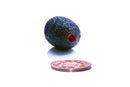 NEOPRENE COATED LAVALIER FOAM